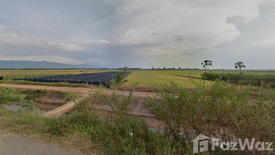 Land for sale in Sak Long, Phetchabun