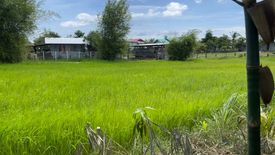 Land for sale in Khon Kaen, Roi Et