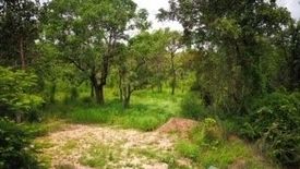 Land for sale in Pho Sai, Ubon Ratchathani