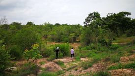 Land for sale in Pho Sai, Ubon Ratchathani