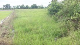 Land for sale in Rop Wiang, Chiang Rai