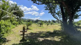 Land for sale in Khuekkhak, Phang Nga