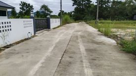 Land for sale in Pa O Don Chai, Chiang Rai