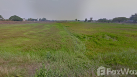 Land for sale in Phan Phrao, Nong Khai