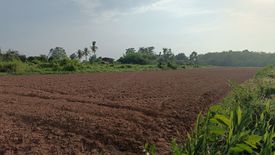 Land for sale in Bueng Phra, Phitsanulok