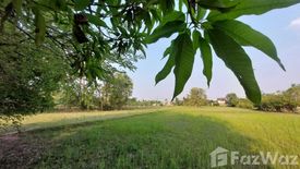 Land for sale in Rai Noi, Ubon Ratchathani