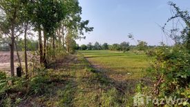 Land for sale in Rai Noi, Ubon Ratchathani