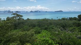 Land for sale in Ko Yao Noi, Phang Nga