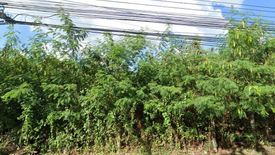 Land for sale in Nai Mueang, Buriram