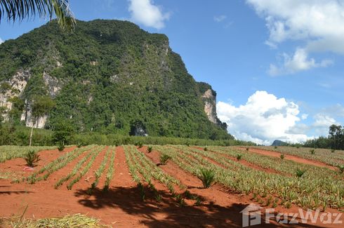 ขายที่ดิน ใน หนองทะเล, เมืองกระบี่