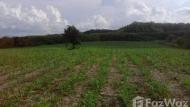 Land for sale in Si Songkhram, Loei