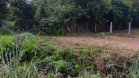 Land for sale in Sawang Daen Din, Sakon Nakhon