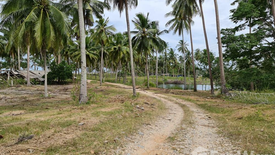 Land for sale in Sao Phao, Nakhon Si Thammarat