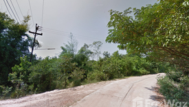 Land for sale in Tha Uthen, Nakhon Phanom