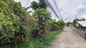 Land for sale in Saraphi, Chiang Mai