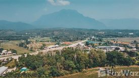 Land for sale in Chiang Dao, Chiang Mai