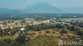 Land for sale in Chiang Dao, Chiang Mai