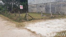 Land for sale in Saba Yoi, Songkhla