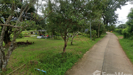 Land for sale in Na Hin Lat, Nakhon Nayok