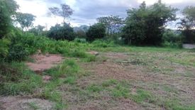 Land for sale in Tha Thung Luang, Lamphun