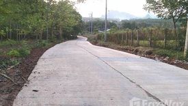 Land for sale in Na Din Dam, Loei