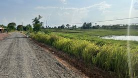 Land for sale in Salakdai, Surin