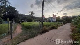 Land for sale in Ko Chang, Trat