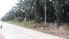 Land for sale in Thung Luang, Chumphon