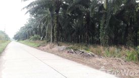 Land for sale in Thung Luang, Chumphon