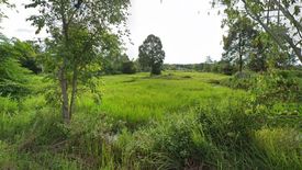 Land for sale in Tha Sa-at, Bueng Kan