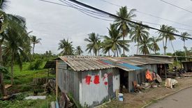 ขายที่ดิน ใน มะขามเตี้ย, เมืองสุราษฎร์ธานี