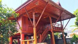 3 Bedroom House for sale in Than Thong, Chiang Rai