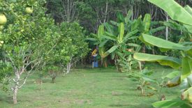 ขายที่ดิน ใน ลิ่นถิ่น, ทองผาภูมิ