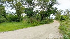 Land for sale in Den Yai, Chainat