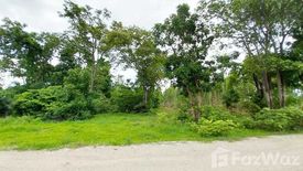 Land for sale in Den Yai, Chainat