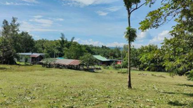 Land for sale in Chiang Khan, Loei