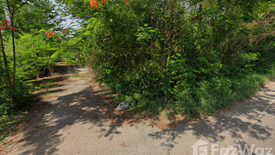 Land for sale in Chong Sarika, Lopburi