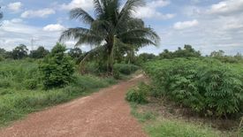 Land for sale in Hua Wa, Prachin Buri