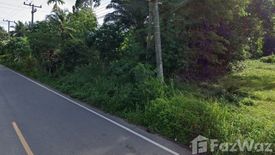 Land for sale in Na Thung, Chumphon