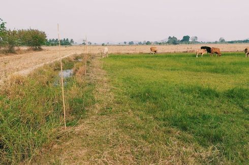 ขายที่ดิน ใน หัวเขา, เดิมบางนางบวช