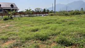 Land for sale in Pong Pha, Chiang Rai