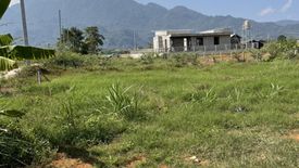 Land for sale in Pong Pha, Chiang Rai