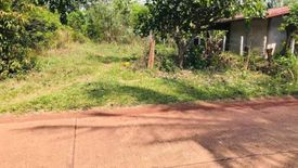 Land for sale in Ban Kho, Nakhon Phanom