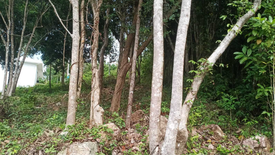 Land for sale in Ko Pha-ngan, Surat Thani