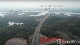 Land for sale in Don Sila, Chiang Rai