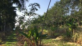 Land for sale in Hat Phan Krai, Chumphon