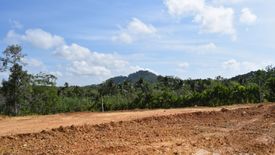 Land for sale in Tha Yu, Phang Nga