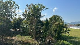 Land for sale in Tha Sut, Chiang Rai