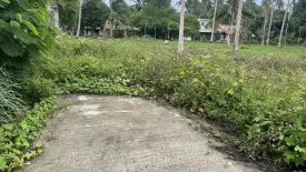 Land for sale in Mae Nam, Surat Thani