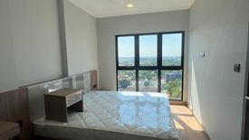 1 Bedroom Condo for Sale or Rent in Astra Sky River, Chang Khlan, Chiang Mai